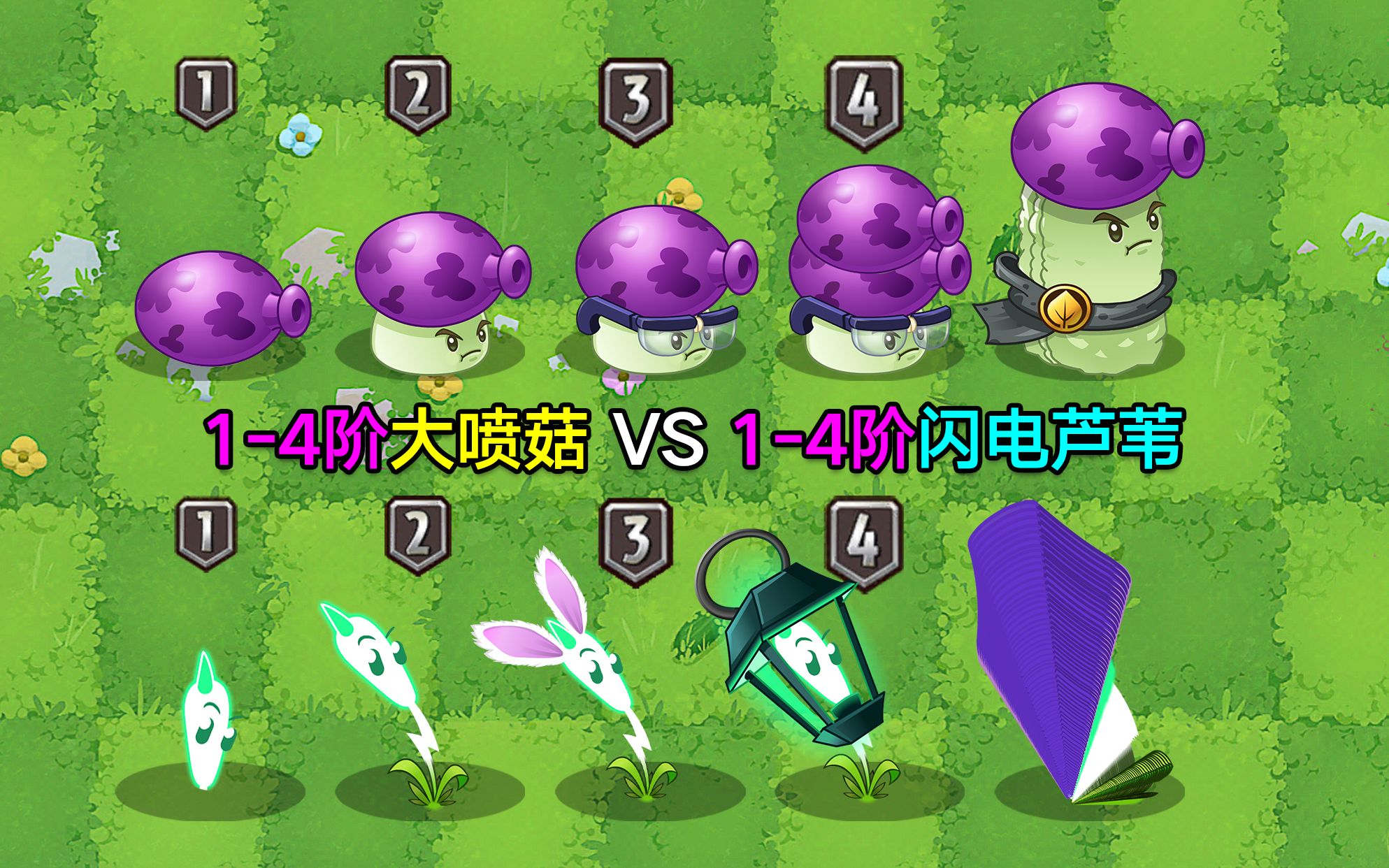 1-4阶大喷菇vs1-4阶闪电芦苇!白卡和绿卡的较量!