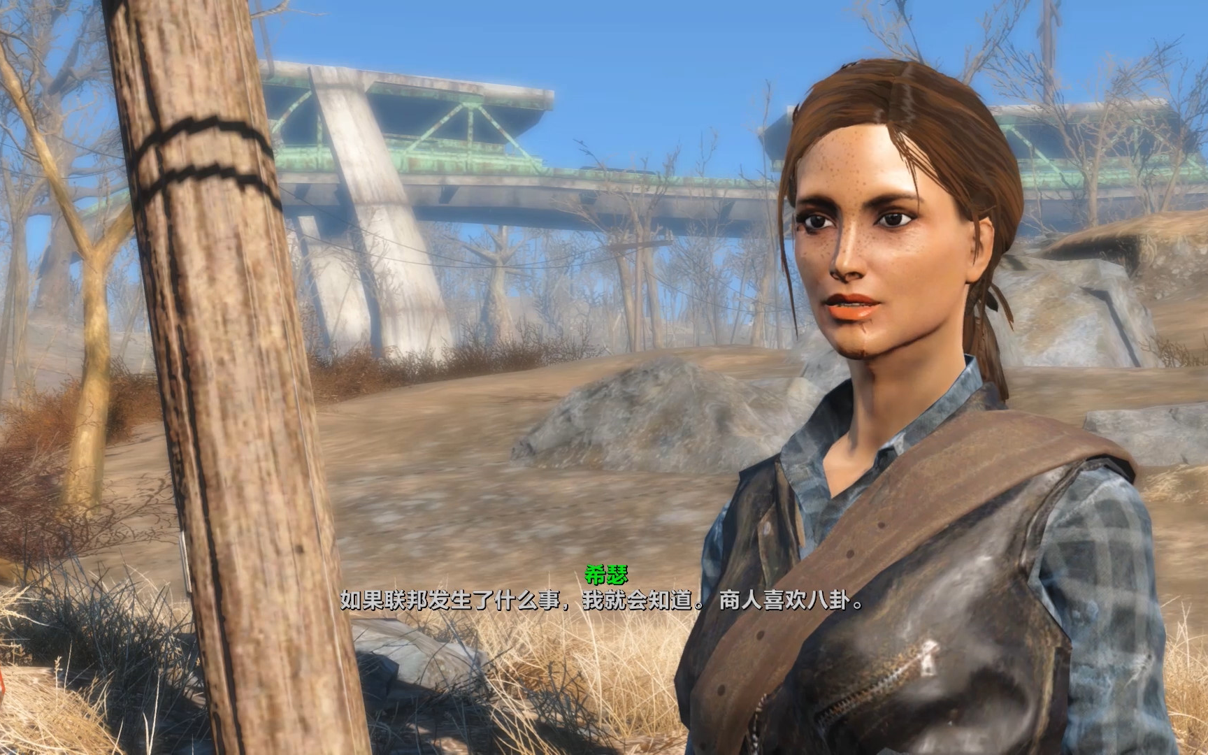 辐射4高智能随从推荐heather