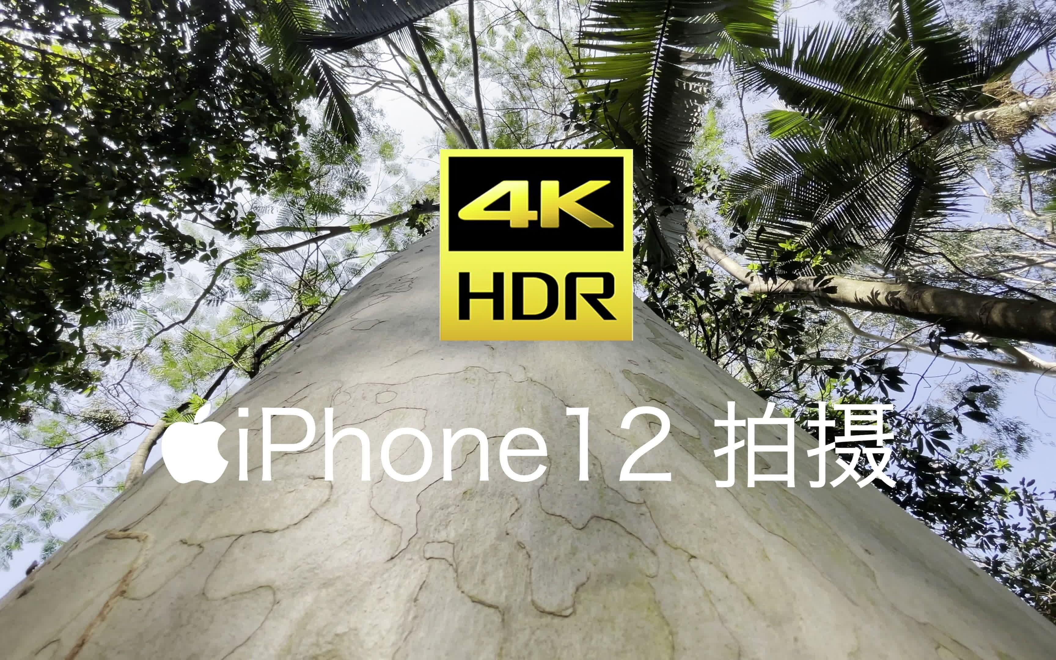 在google地球中找到pixel实景动态壁纸的原处是怎样的 游戏社
