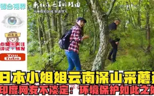 Download Video: 【外网热评】日本小姐姐云南深山采蘑菇，印度网友不淡定：环境保护如此之好？