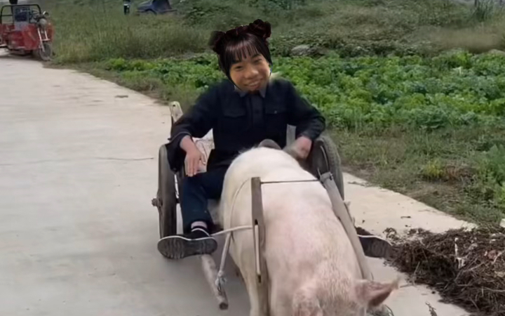 农村小孩骑猪日常_哔哩哔哩_bilibili