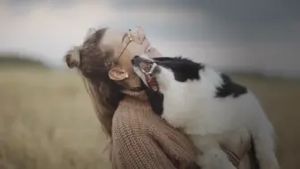 萌宠日常