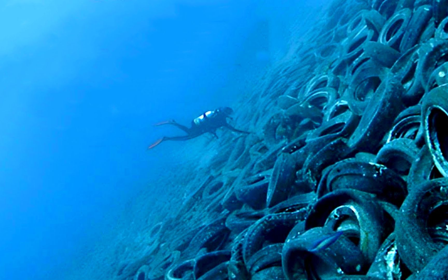 200万条轮胎沉入海底,为何原以为的明智之举,如今却追悔莫及?