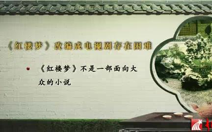 华东师范大学 《红楼梦》 全5讲 主讲詹丹 视频教程哔哩哔哩bilibili