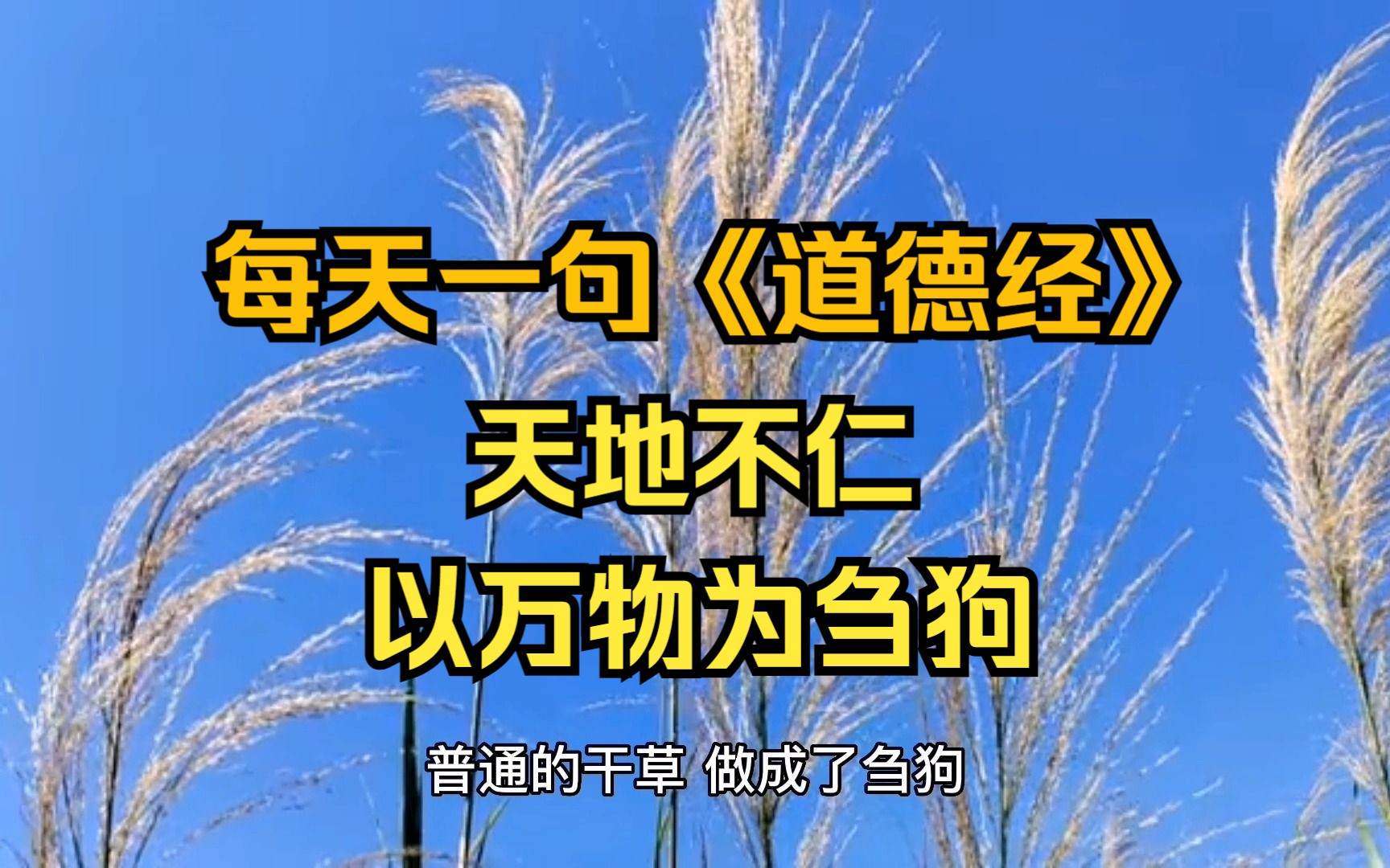 李书僮讲《道德经》天地不仁 以万物为刍狗 圣人不仁 以百姓为刍狗哔哩哔哩bilibili