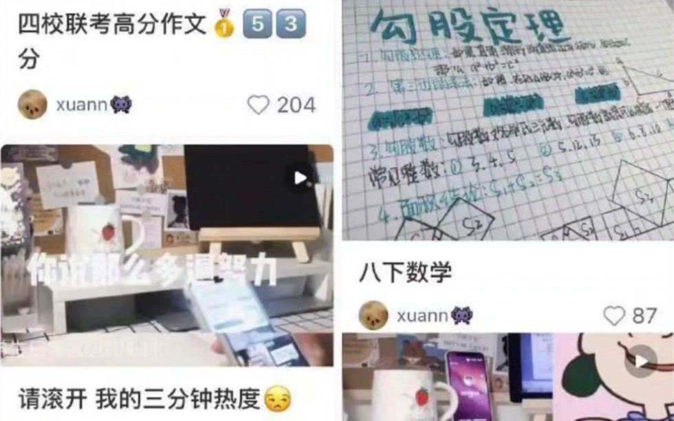 小红书学习博主每天学习15小时上中专哔哩哔哩bilibili