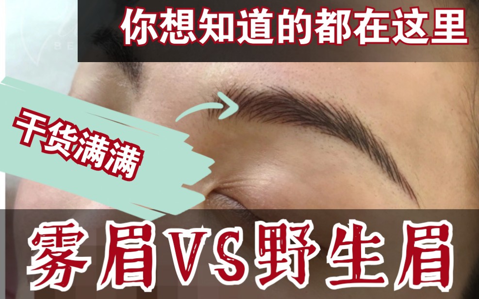 雾眉VS野生眉,如何选择?干货满满,你想知道的都在这里.哔哩哔哩bilibili