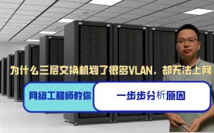 Download Video: 为什么三层交换机划了很多VLAN，却无法上网，网络工程师来告诉你原因