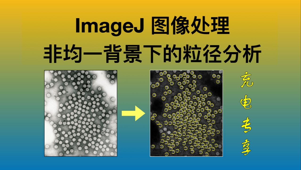 『充电专享』ImageJ非均一背景下的粒径分析哔哩哔哩bilibili