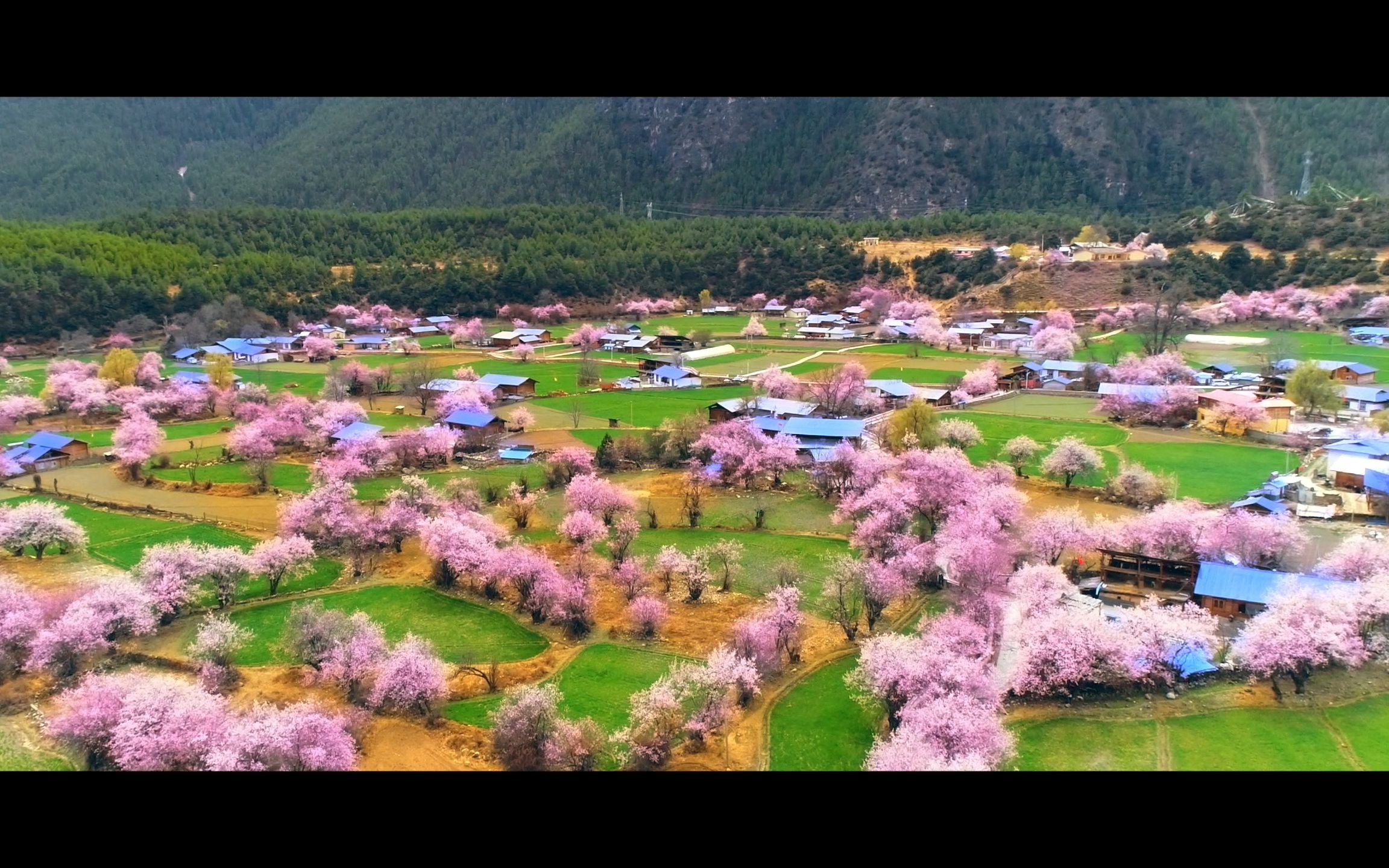 察隅县旅游风景宣传片哔哩哔哩bilibili