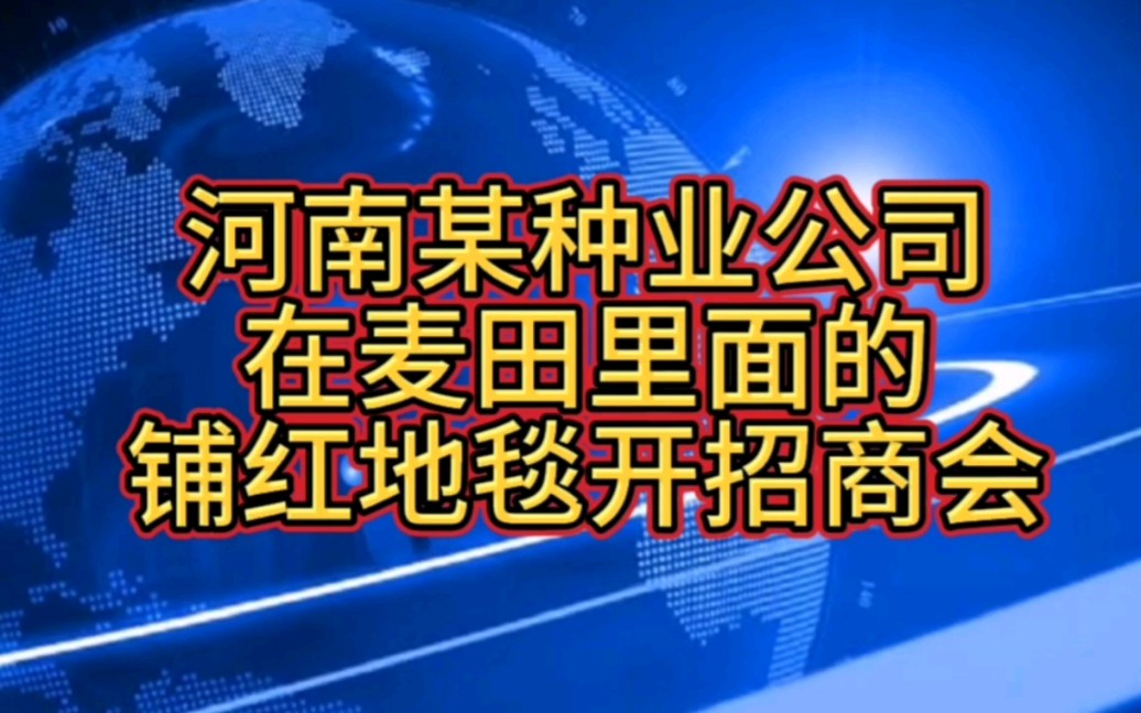 河南某种业公司在麦田里面的铺红地毯开招商会哔哩哔哩bilibili