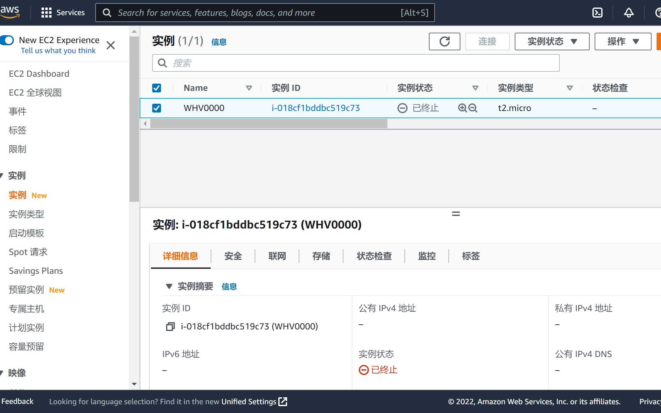 WHV新西兰抢名额之VPS亚马逊AWS实例创建哔哩哔哩bilibili