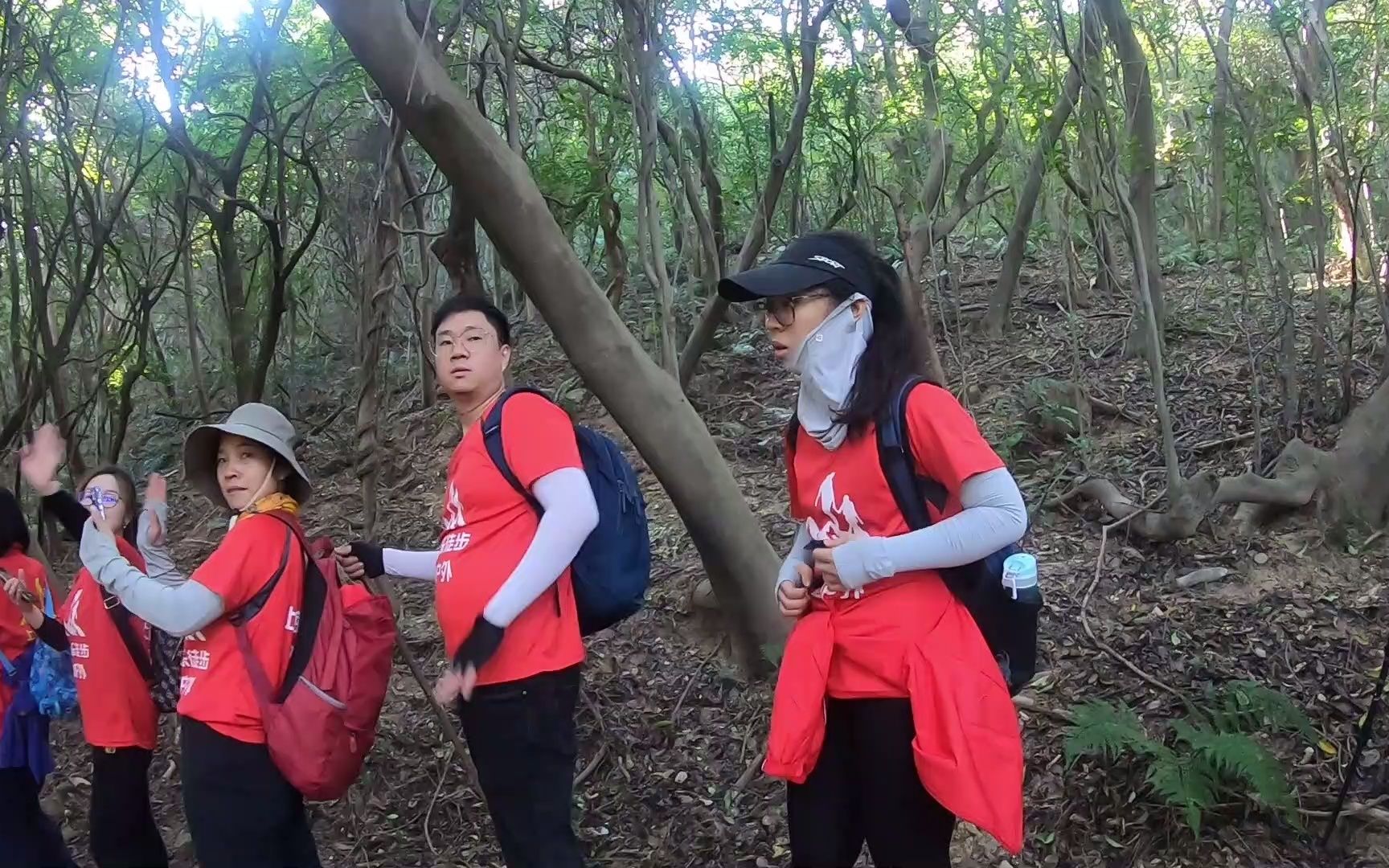 上海周末 好去处 旅游健身户外活动 乌龙金山8 上海快乐徒步爬山户外哔哩哔哩bilibili