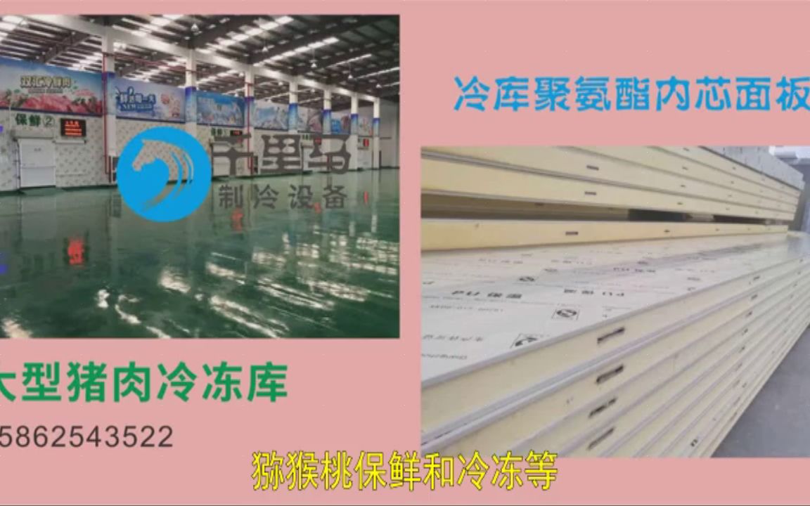 【固原】杨梅恒温水果保鲜库价格贵吗冷藏集装箱生产厂推荐低压延平区鸡肉充氮蔬菜冷库价格哔哩哔哩bilibili