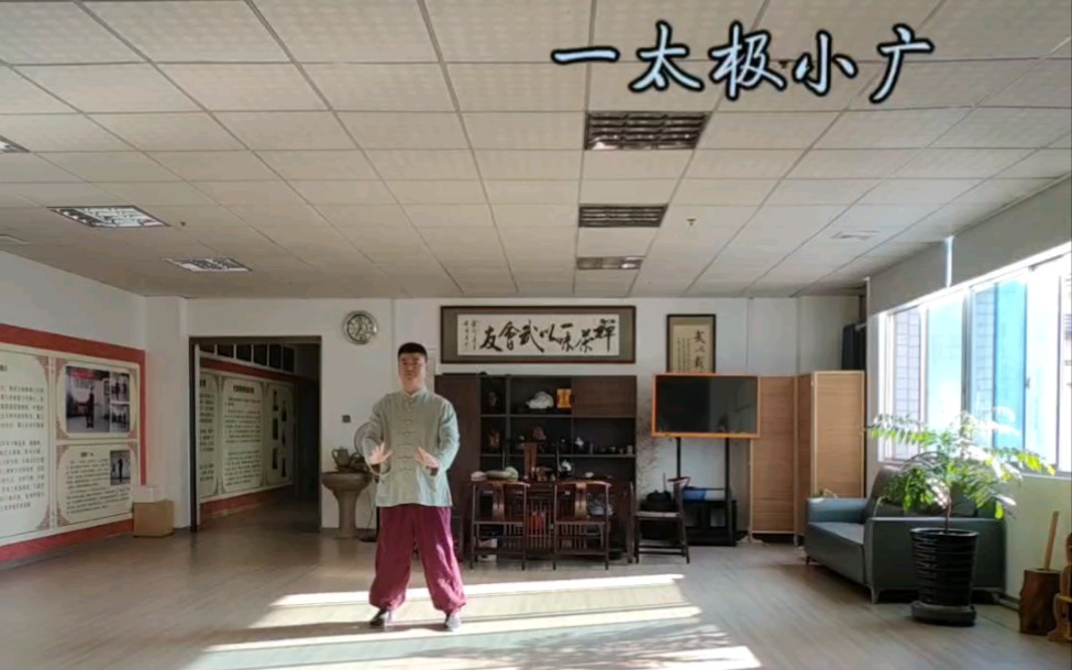 传统杨氏太极拳28式