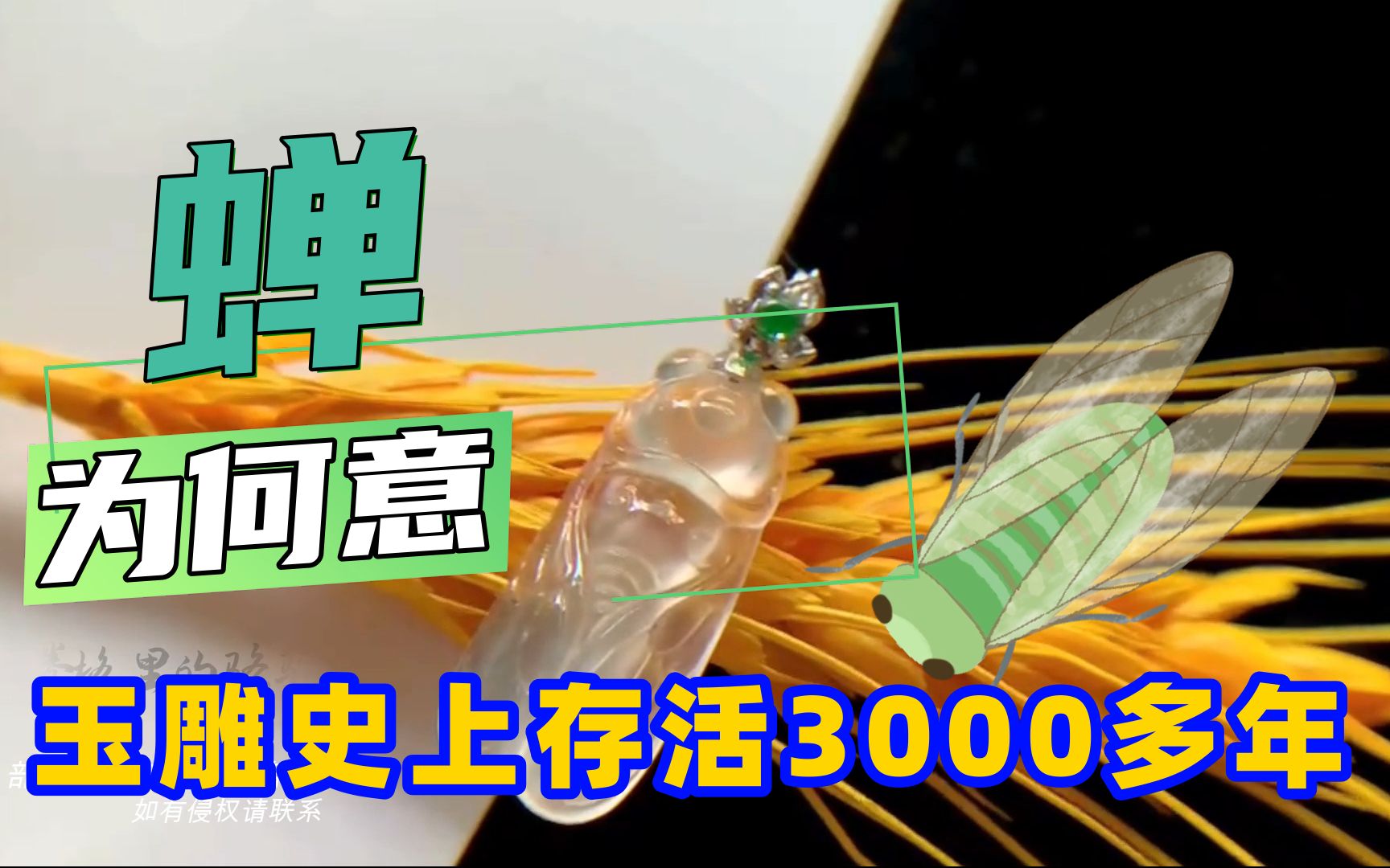 小小玉蝉,自西周时期开始,为何能在玉雕史上沿用3000多年!哔哩哔哩bilibili