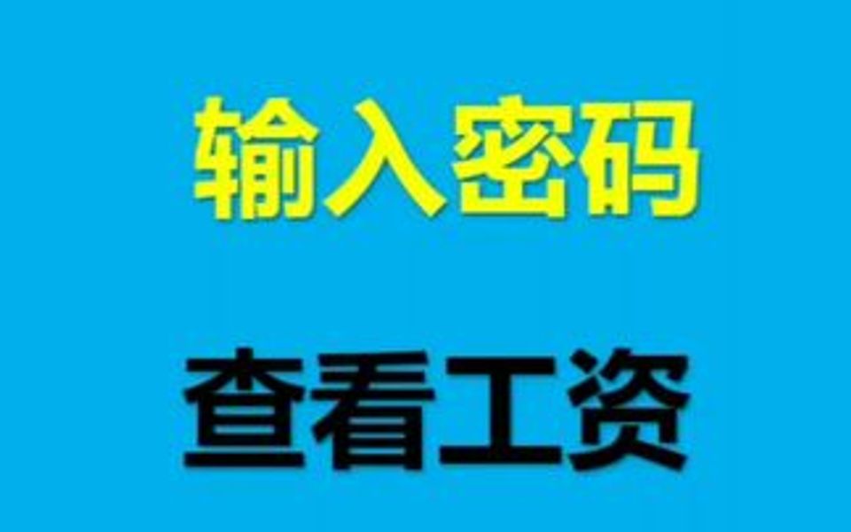 设置密码查看工资哔哩哔哩bilibili