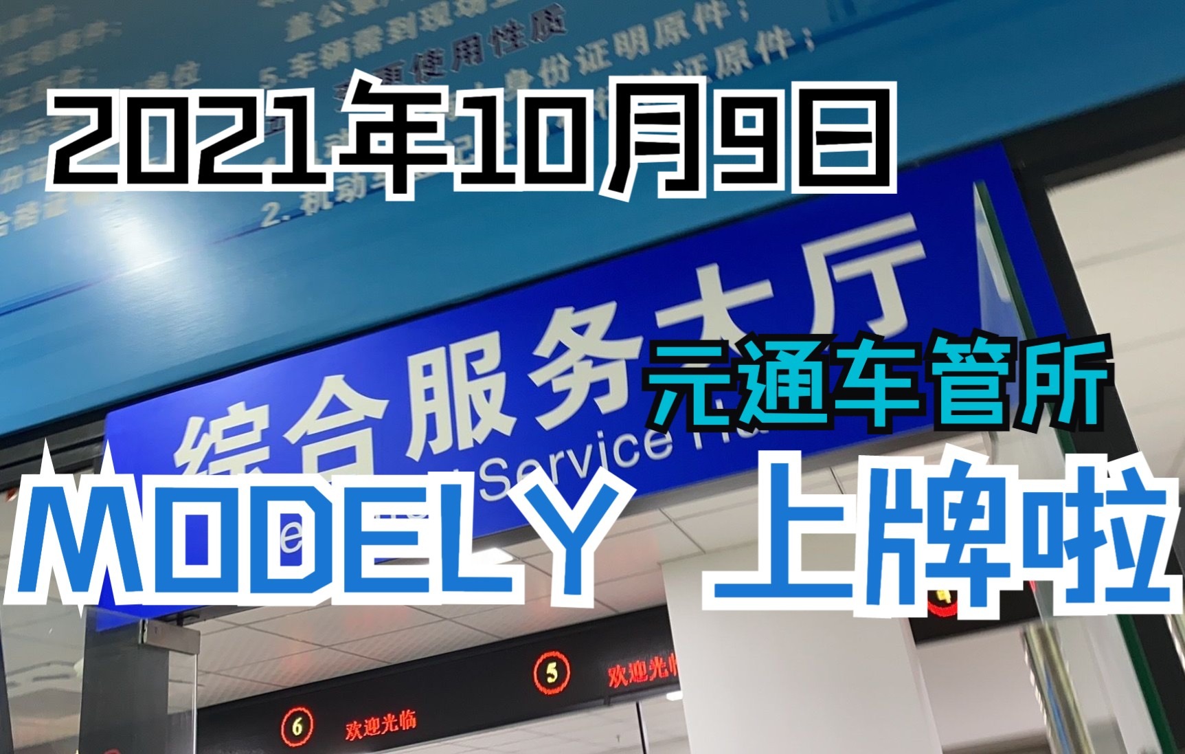 2021年10月9日黑煤球的生活日常杭州上牌哔哩哔哩bilibili