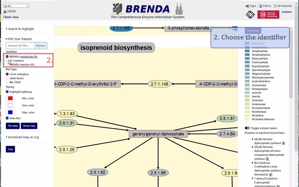 BRENDA 酶数据库  代谢途径图哔哩哔哩bilibili