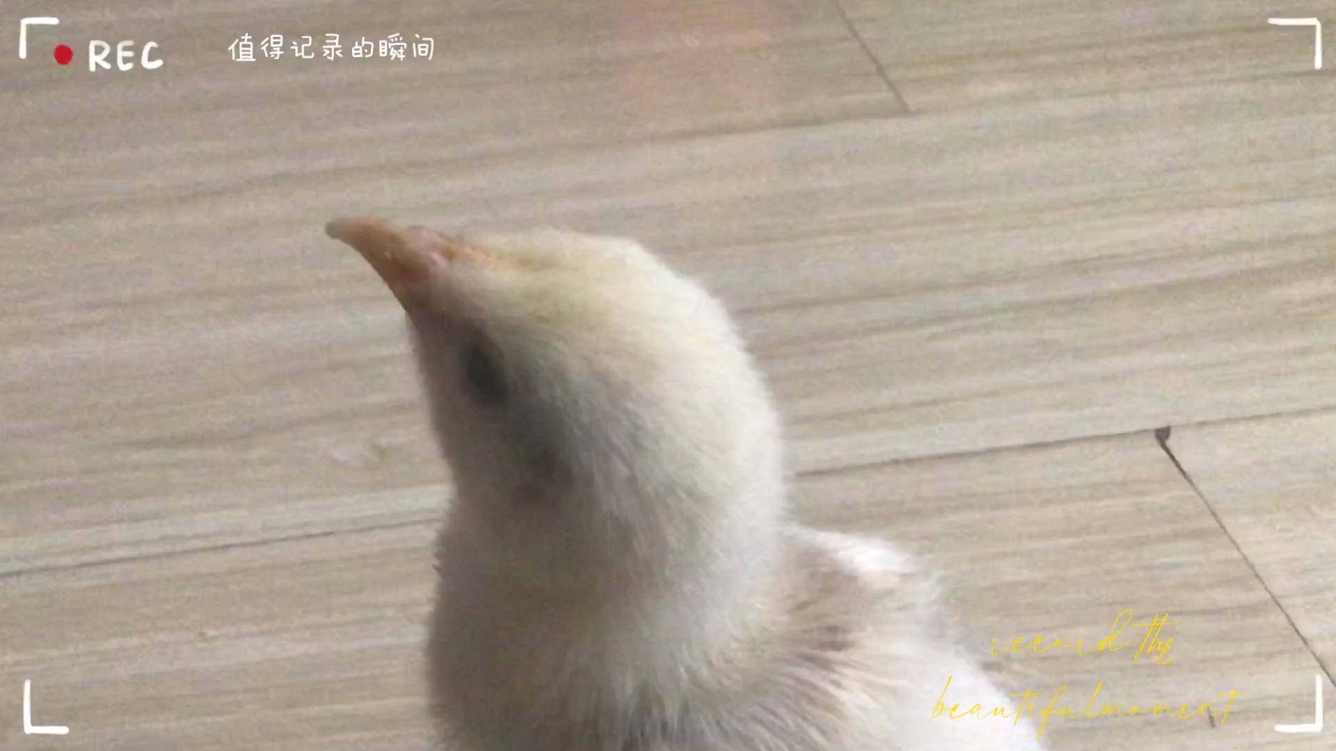 水水水水水水水水水水水水水水水水水水水水水水水水水水水水水水水水