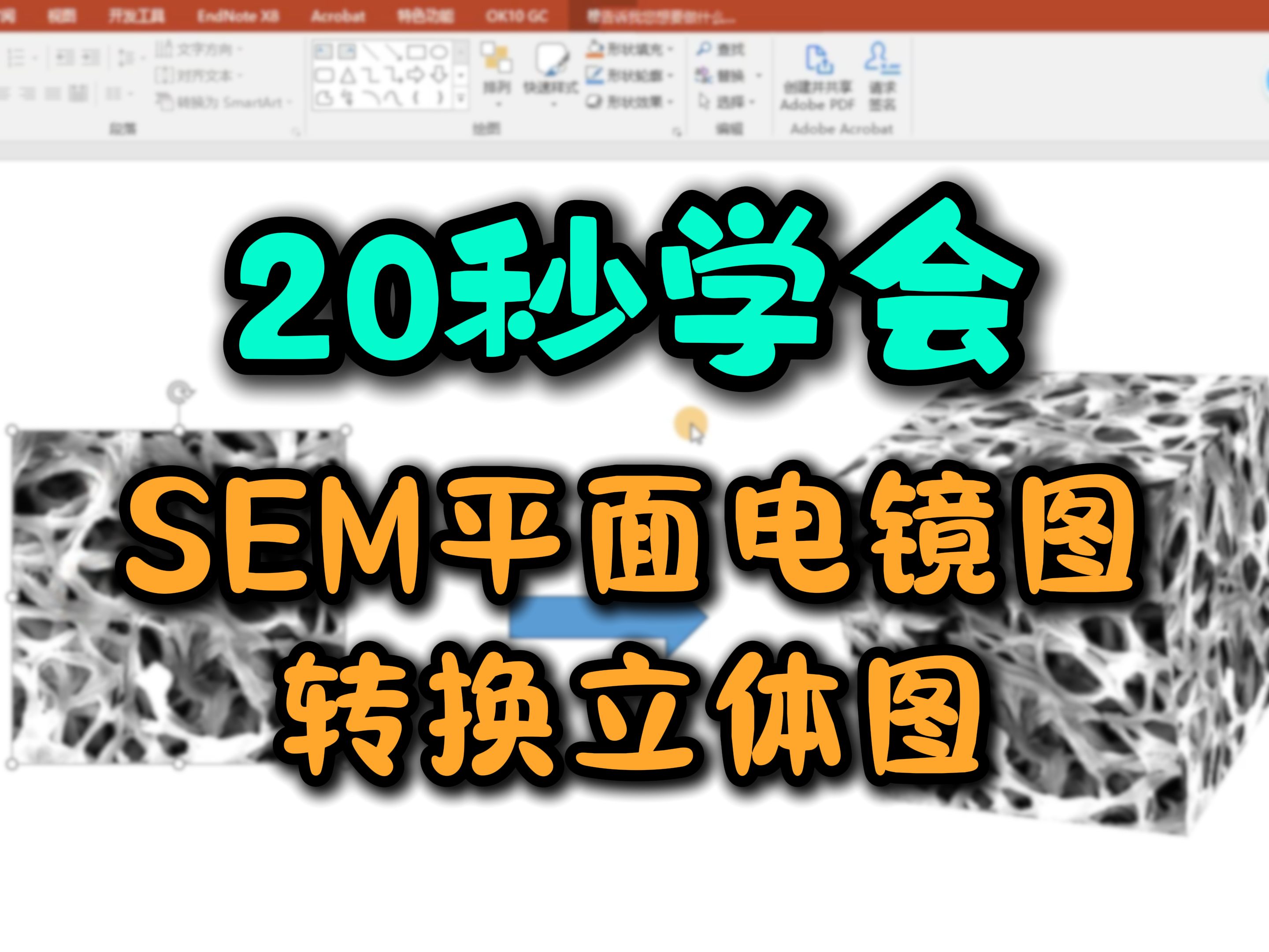 生化环材研究生必备技能! 20秒学会 SEM平面电镜图转换立体图~全面展示形貌,还能提高论文档次!哔哩哔哩bilibili