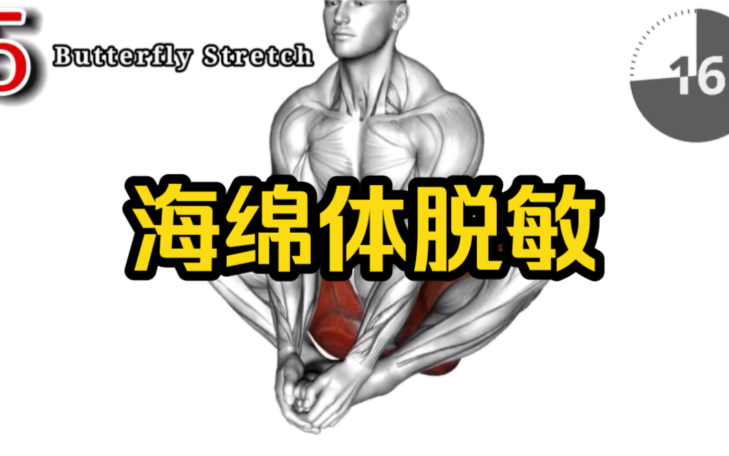 男人海绵体脱敏训练训练宝典