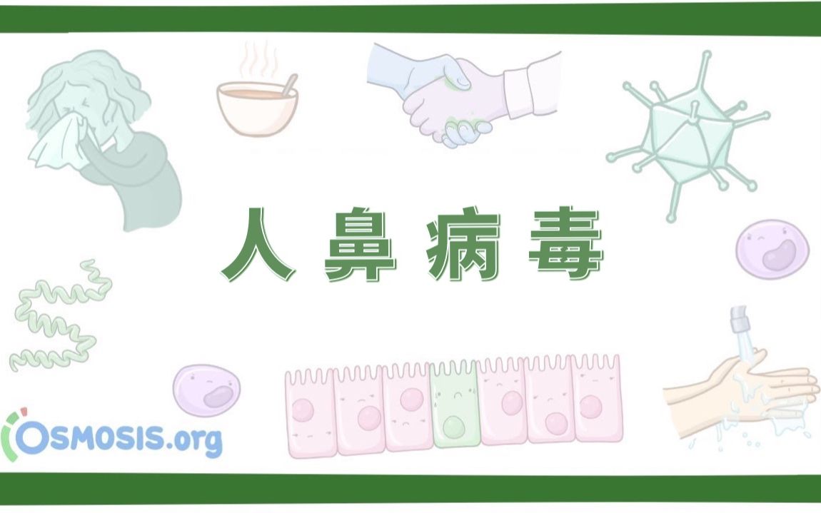 【预习】人鼻病毒 Human Rhinovirus(中英字幕)哔哩哔哩bilibili