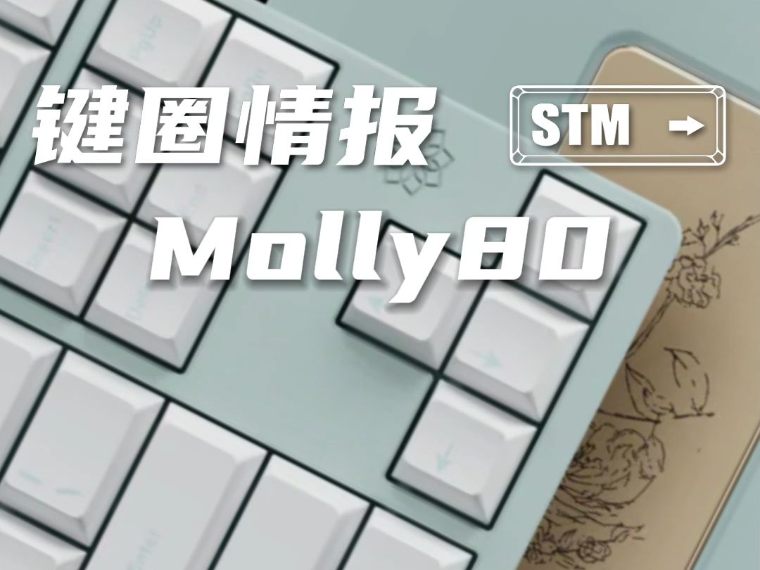 好一朵茉莉花!简洁素雅的Molly80哔哩哔哩bilibili