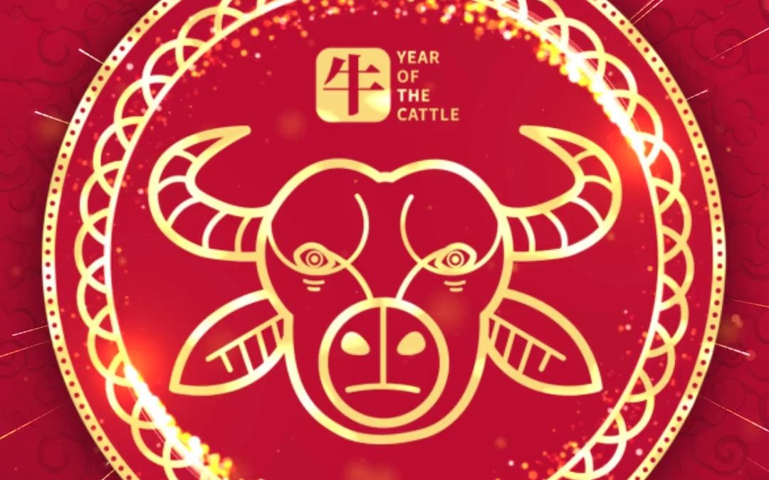 【模板】2021牛年大吉拜年视频模板,新年祝福视频制作