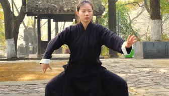 武当太极28式·（六）