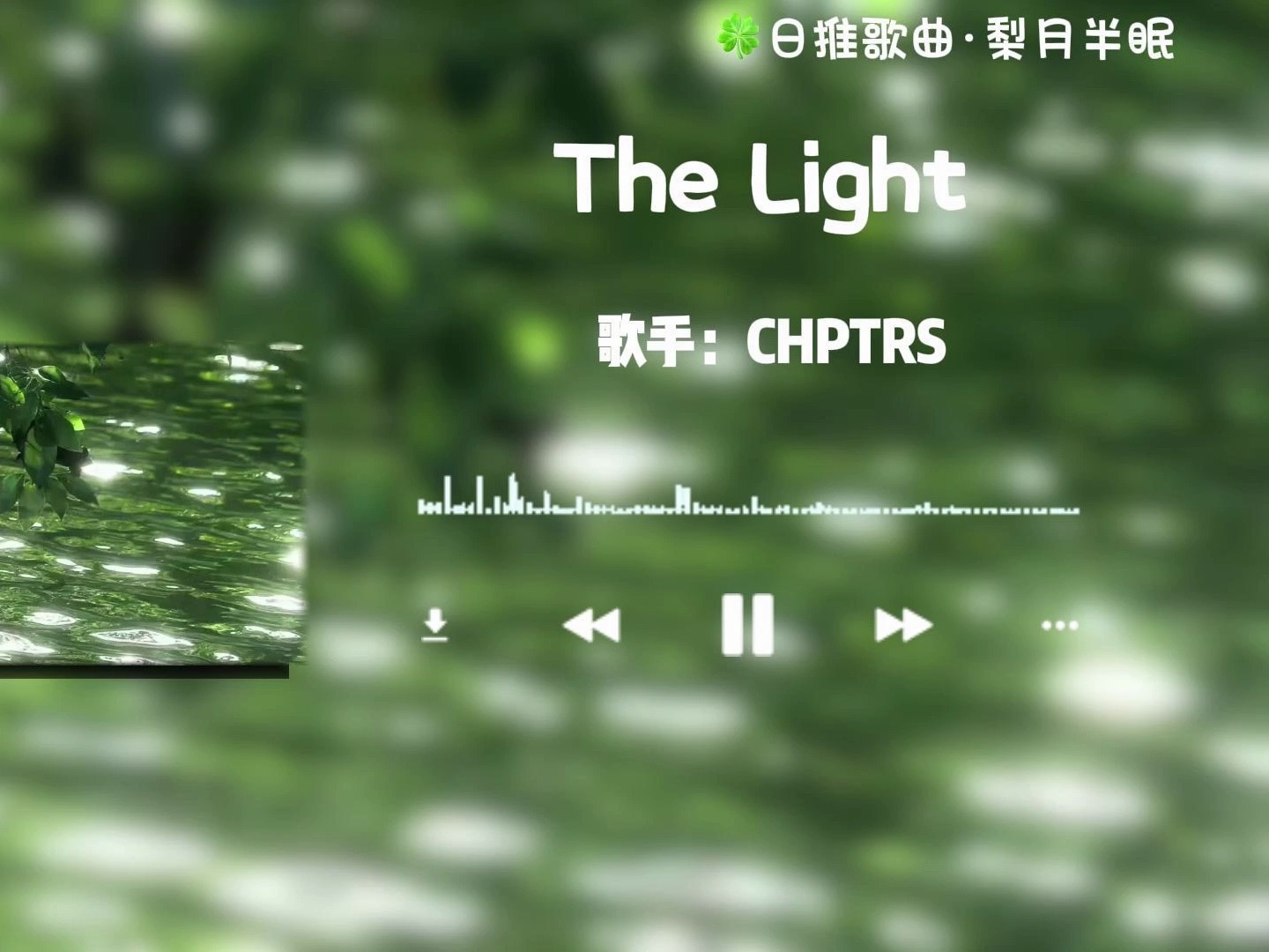 "《the light》