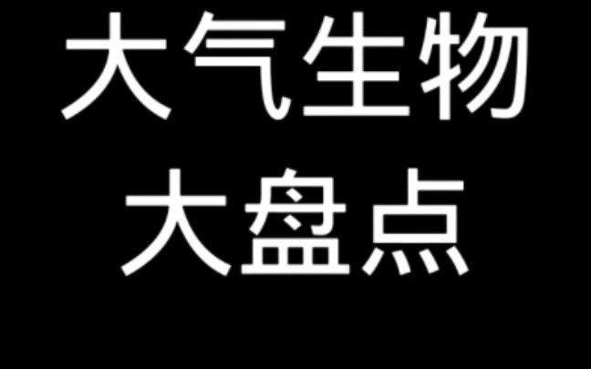 大气生物盘点第一期哔哩哔哩bilibili