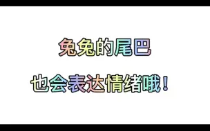 Download Video: 兔兔的尾巴也会表达情绪哦！