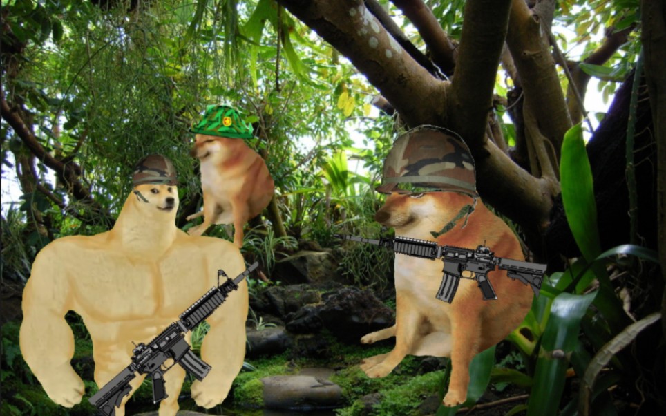 [cheems]当草丛开始说话时,没有一个越共是无辜的1