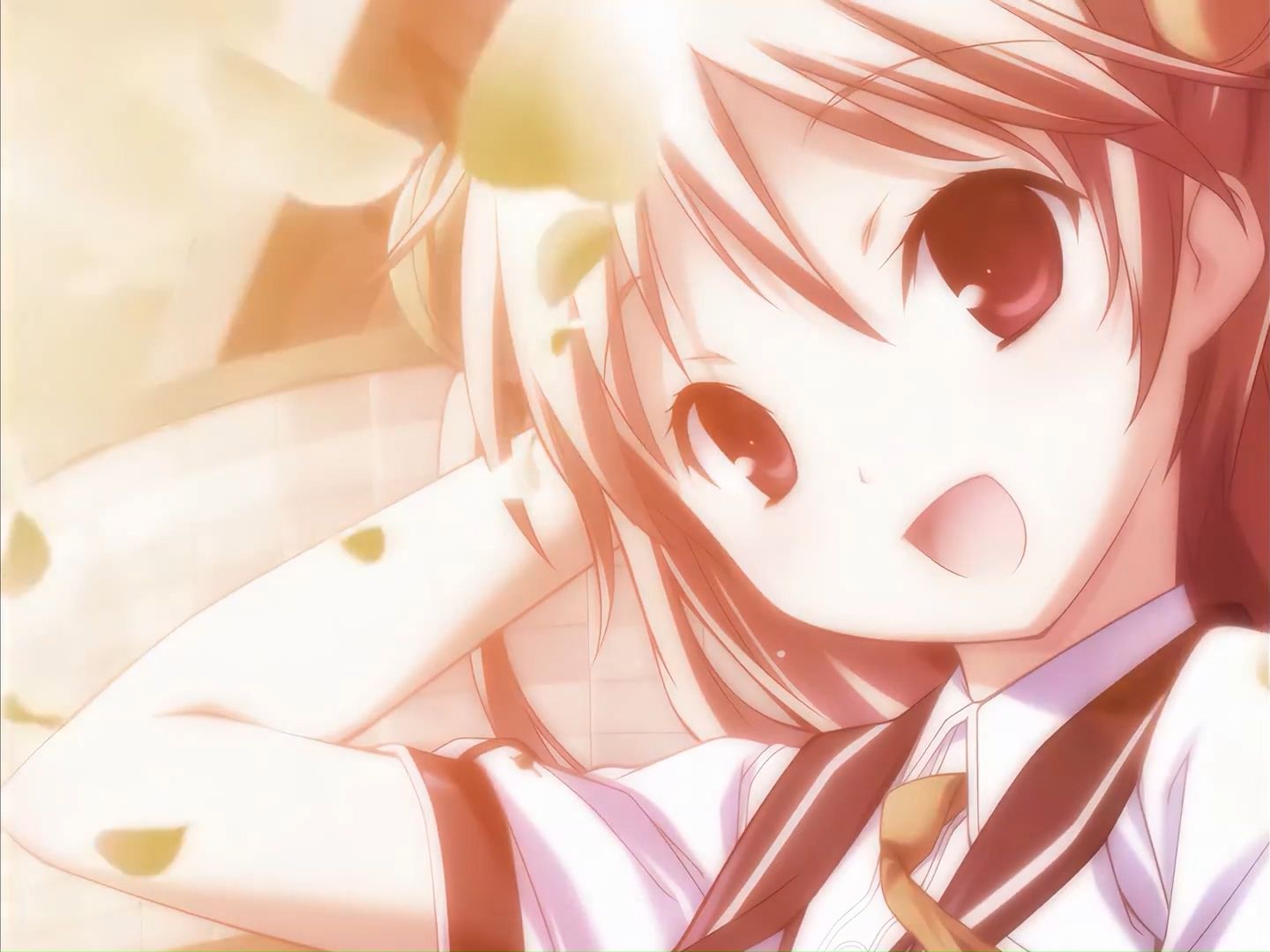 【口琴】「jihad」 bsd op 2