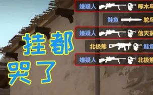 Download Video: 打个CSGO休闲把挂整哭了