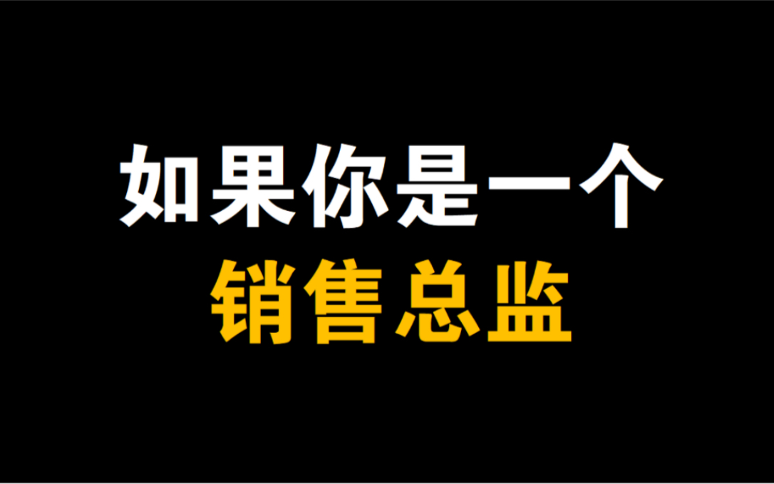 如果你是一个销售总监哔哩哔哩bilibili