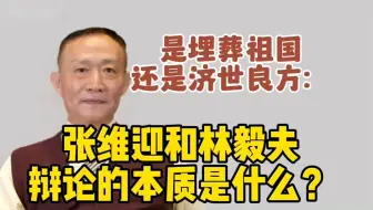 卢麒元：埋葬祖国还是济世良方？张维迎和林毅夫辩论的本质是什么？