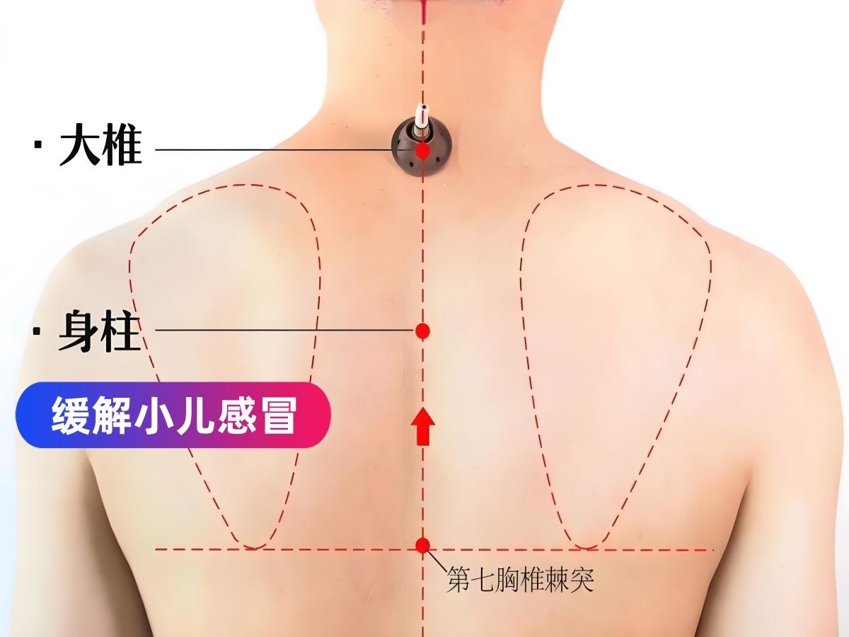 身柱准确位置图 图图片