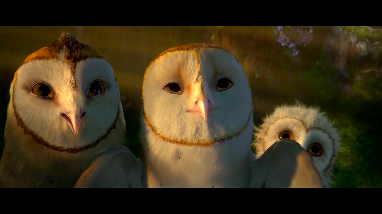 《猫头鹰王国》花絮 - battle of the ice claws_哔哩哔哩 (゜-゜)つ