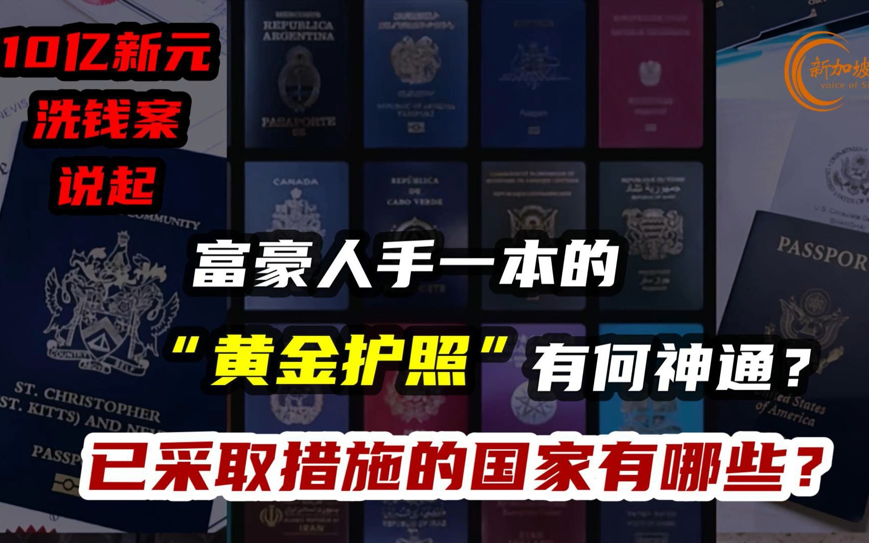 从新加坡10亿新元洗钱案说起,世界各地富豪人手一本的“黄金护照”有何神通?一些国家开始采取措施.哔哩哔哩bilibili