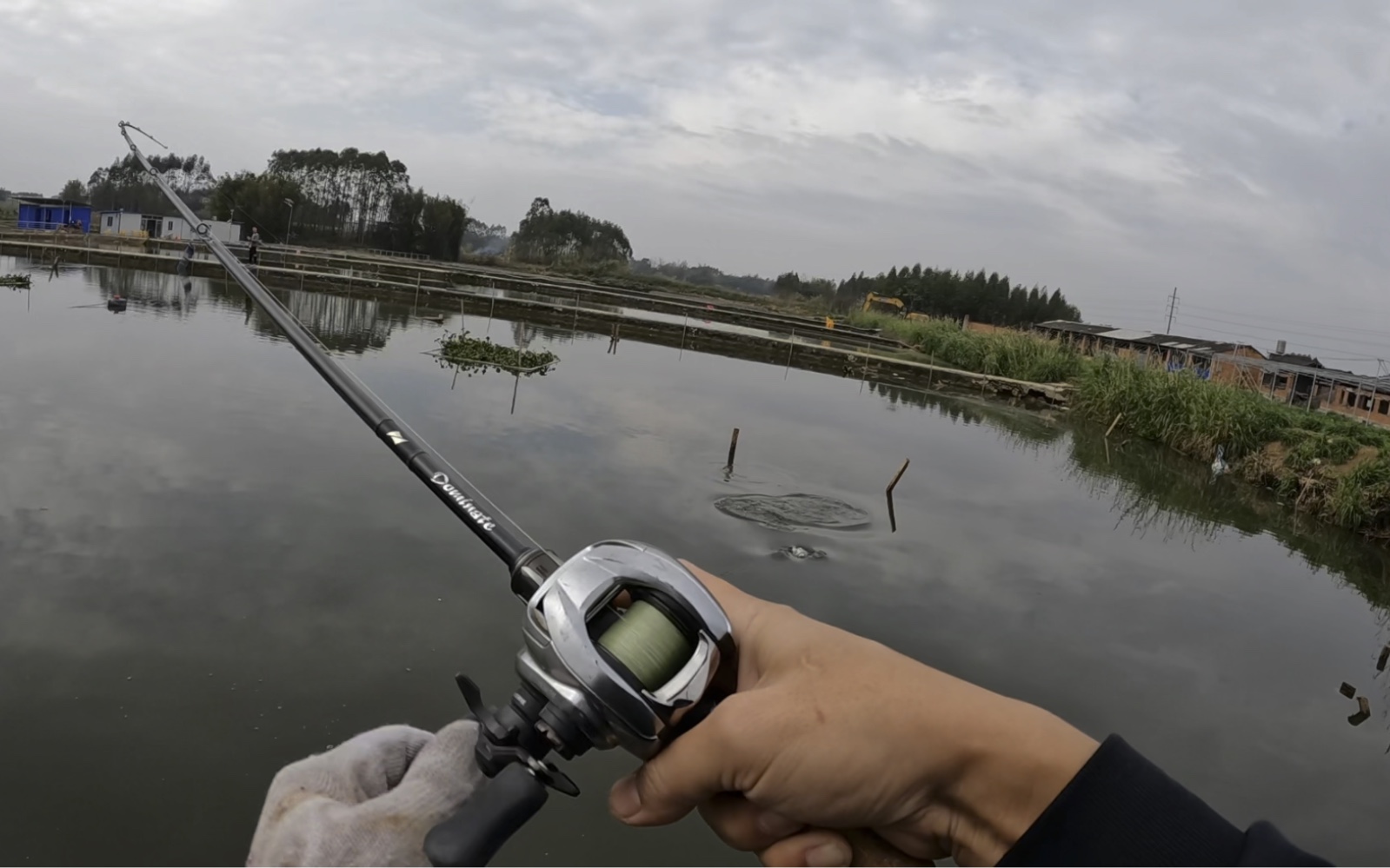 今天钓黑坑玩玩