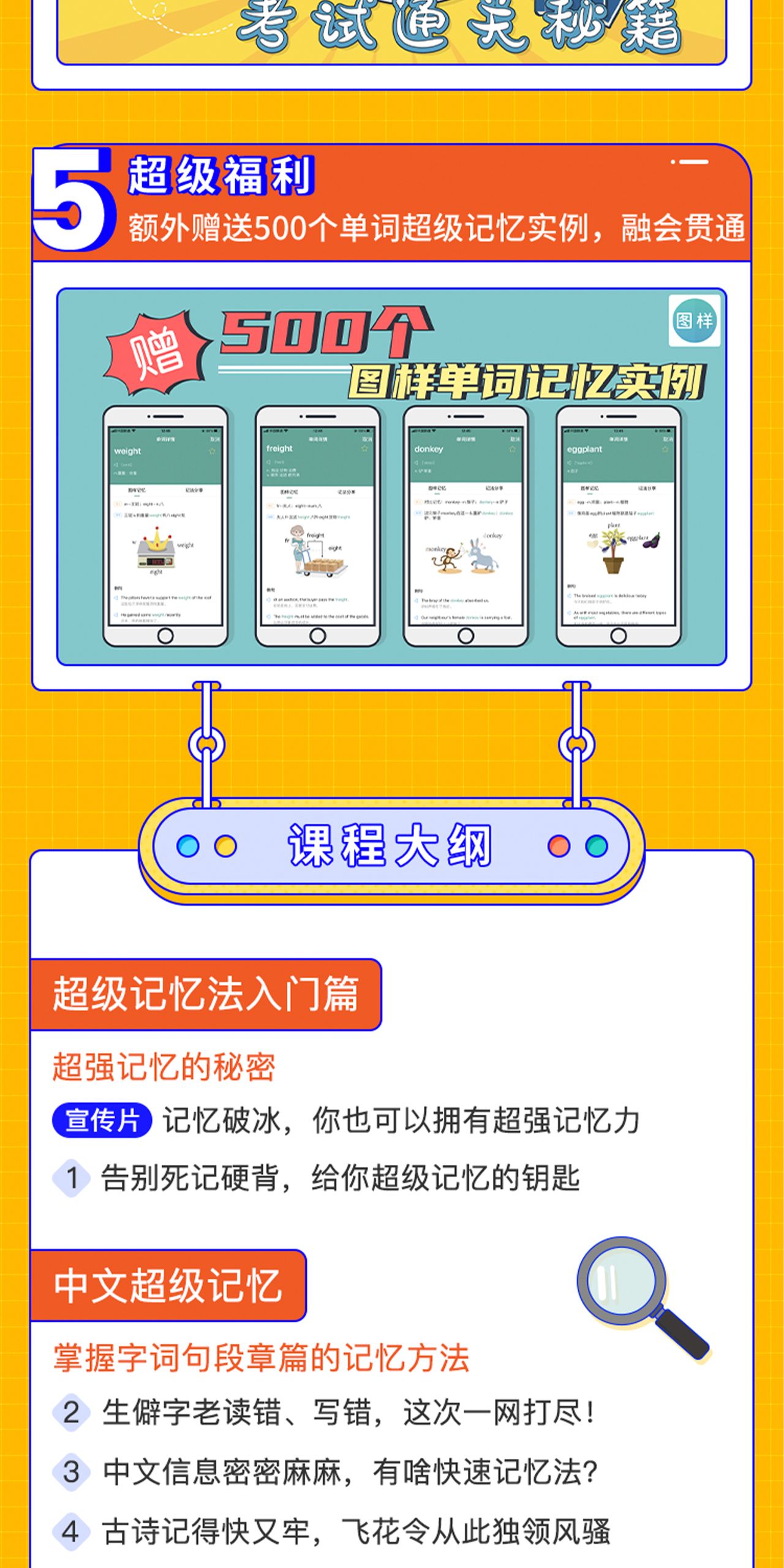 申一帆:全学科提分攻略