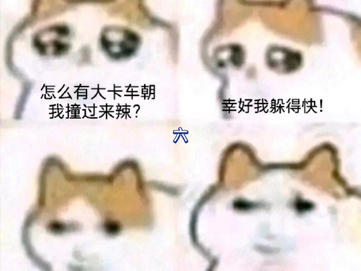 预制猫龙不会梦见定时龙猫哔哩哔哩bilibili