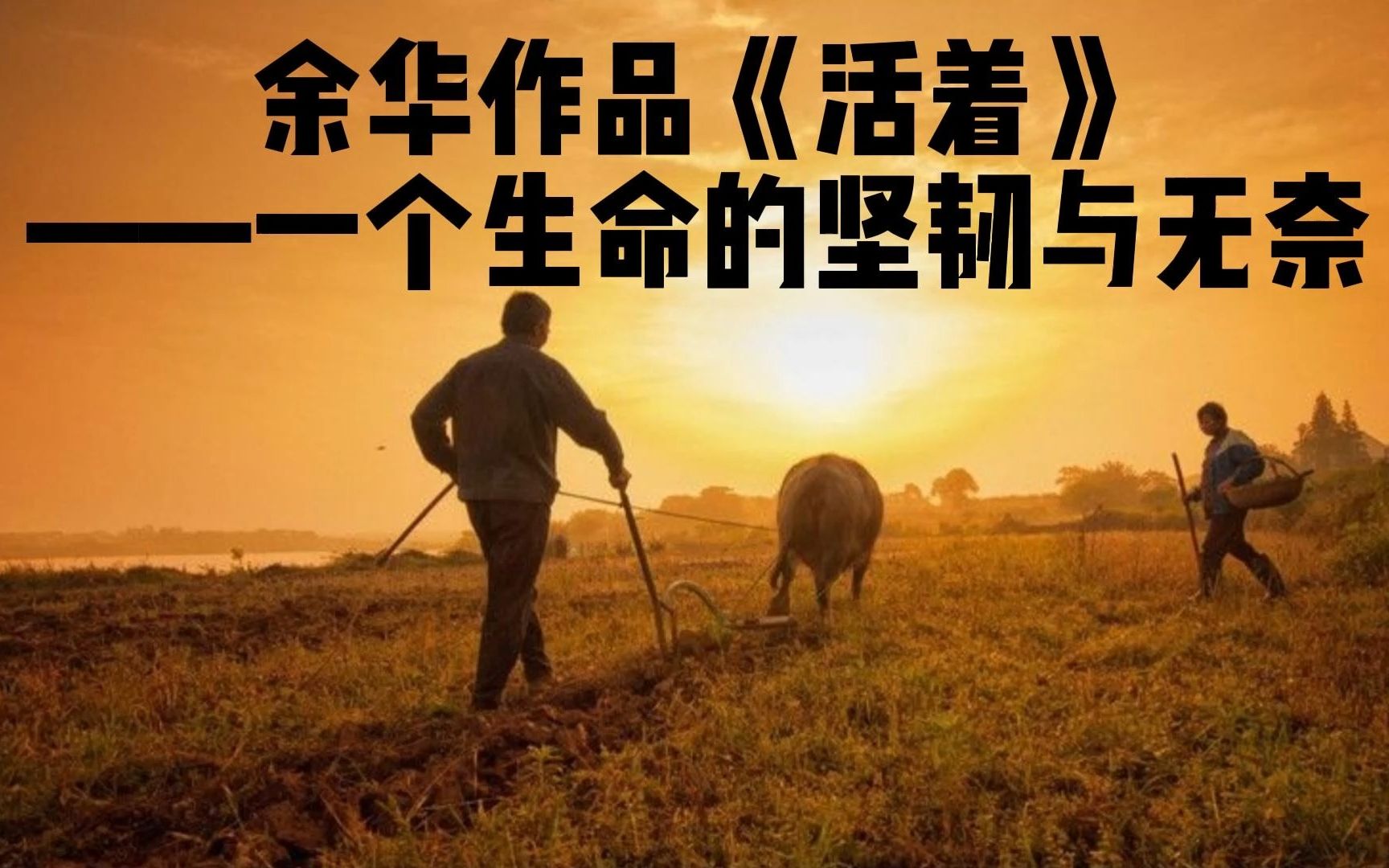 余华《活着》:一个生命的坚韧与无奈