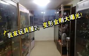 Télécharger la video: 参观我家玩具屋2，变形金刚大曝光！