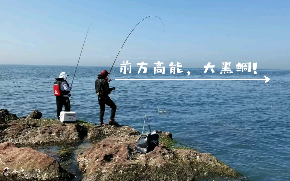 海钓矶钓3—4斤的大黑鲷腊鱼黑立鱼,海鲫鱼太过瘾了!哔哩哔哩bilibili