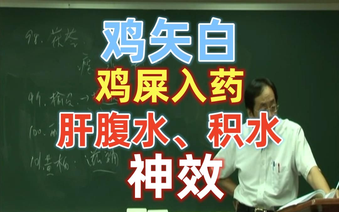 倪海厦 鸡矢白全 肝腹水 肝硬化 积水 有奇效 听倪师说哔哩哔哩bilibili