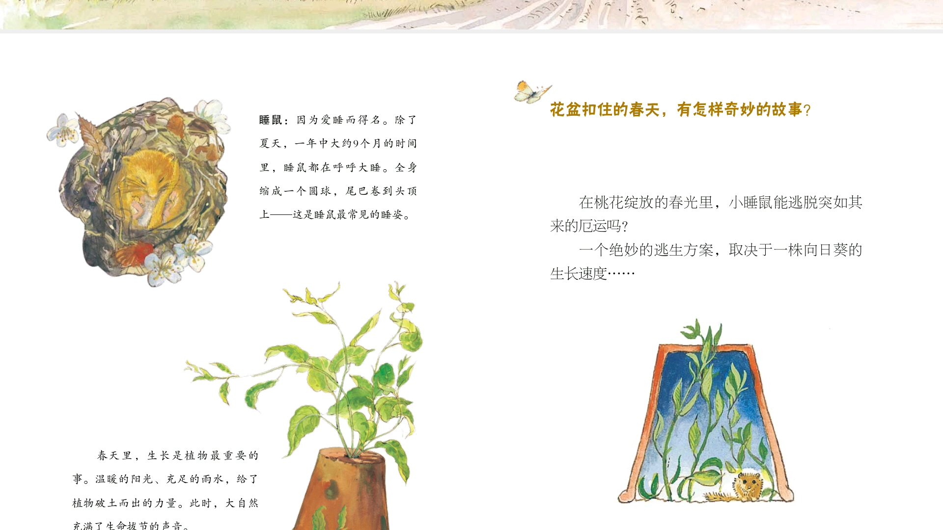 绘本故事生长在春天