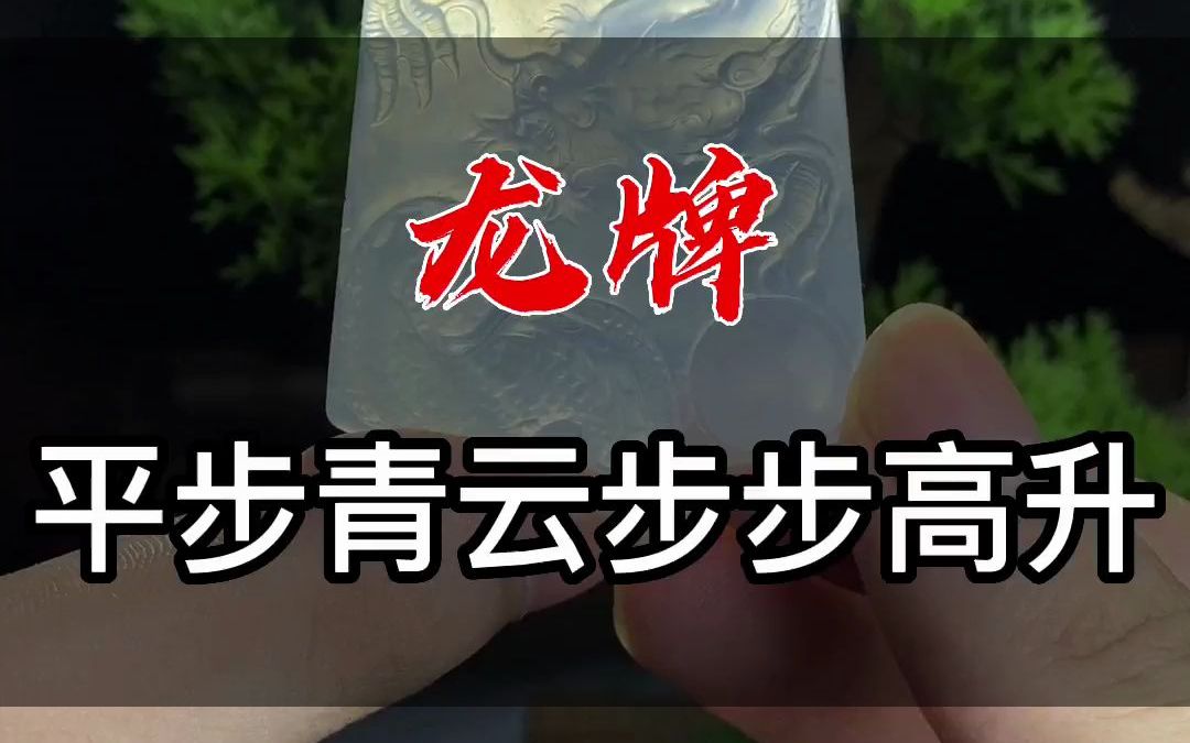 龙牌,平步青云步步高升